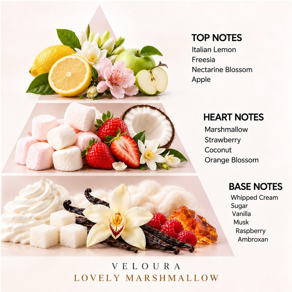 Lovely Marshmallow